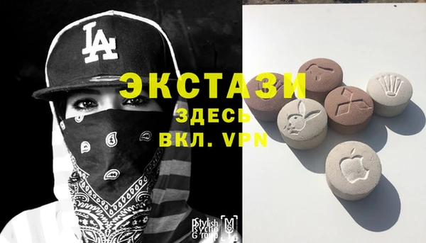 spice Аркадак