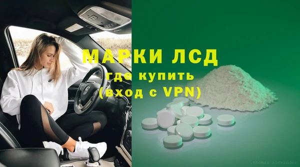 spice Аркадак