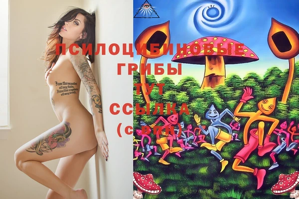 spice Аркадак