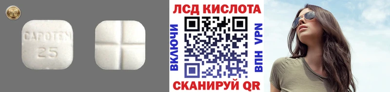 как найти закладки  Колпашево  LSD-25 экстази ecstasy 
