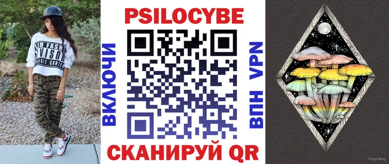 блэк спрут ССЫЛКА Колпашево Псилоцибиновые грибы Psilocybine cubensis цены