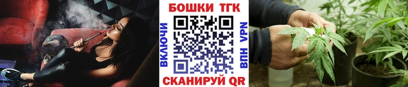Бошки Шишки план Колпашево